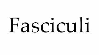 How to Pronounce Fasciculi [upl. by Millwater22]