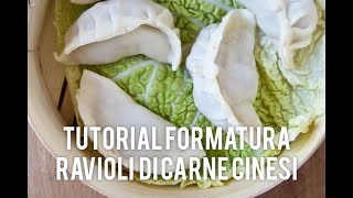 Tutorial come chiudere i ravioli di carne cinesi o Jiaozi [upl. by Wilkinson]