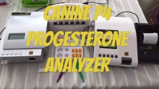 Canine P4 Progesterone Analyzer 786 7248761 [upl. by Hedges]