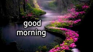 good Morning wishesgood Morning Videos Statusgood Morning ImagesSubscribe smilingthulasi3686 [upl. by Eizeerb]