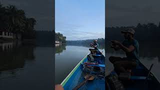 Mangrove fishing in Kerala river 🦈💥villagefishing traditionalfishing Keralafishing [upl. by Weixel]