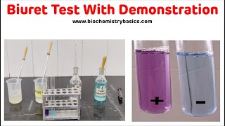 10 Biuret test for proteins and amino acids [upl. by Leahcimnaes]