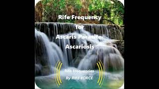 Ascaris Parasites  Ascariasis  Rife Frequency [upl. by Ettigirb]