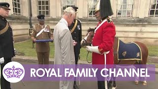 Prince Charles Presents Jubilee Medal to Regimental Pony [upl. by Shaffert]