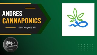 Acuaponia Cannabica  Cannaponics  Guadalajara [upl. by Ithsav]