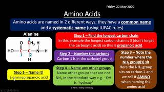 AQA 313 Amino Acids Proteins and DNA REVISION [upl. by Enaoj]