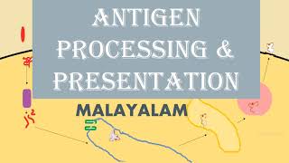 ANTIGEN PROCESSING AND PRESENTATION  MALAYALAM [upl. by Horst]