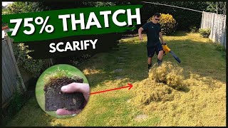 How to SCARIFY A Lawn Before and After [upl. by Yrocej275]