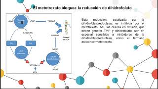 Biosíntesis de nucleótidos de pirimidina [upl. by Dorothee]