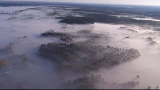 Boende på Gotland uppmanas stanna inomhus [upl. by Leumel]