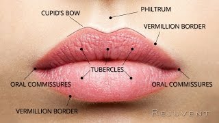 The Secret to Natural and Beautiful Lips  with Dr Bouzoukis [upl. by Aifos]