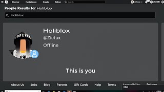 How To Appear Offline On Roblox 2023 [upl. by Cusick739]