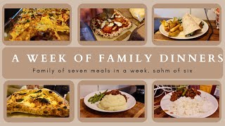 WEEK 54 FAMILY DINNERS OF THE WEEK  family of eight evening meal ideas meal plan🍝🥙 [upl. by Tomasina]