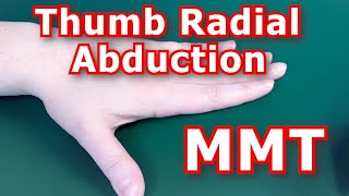 Manual Muscle Testing MMT  Thumb Radial Abduction [upl. by Elleirb430]