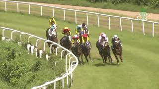 AEROPOLI wins The Steinlen Handicap [upl. by Oberheim892]