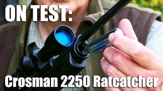 Crosman 2250 Ratcatcher airgun on test [upl. by Anneirda]