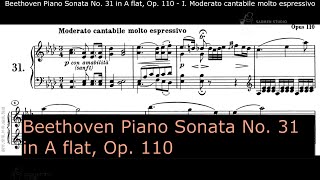 Beethoven Piano Sonata No 31 in A flat Op 110 [upl. by Edholm]