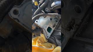 Oil filter housing gasket replacement on a bmw 20132018 [upl. by Bunder]