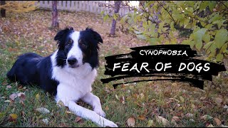 Facing Fears  A Journey Through Cynophobia 3 Minutes [upl. by Adall]