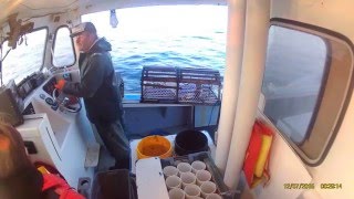 lobster fishing nova scotia [upl. by Binah23]