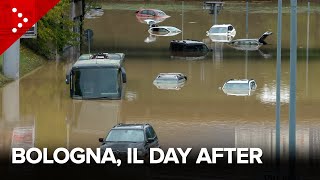 Alluvione Bologna il day after un pullman e numerose auto nellacqua a Borgo Panigale [upl. by Laddy]