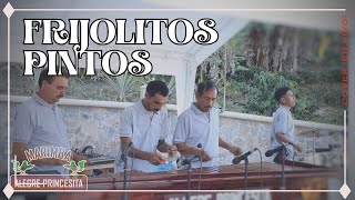 Frijolitos Pintos  cover Marimba Alegre Princesita en vivo [upl. by Longley329]