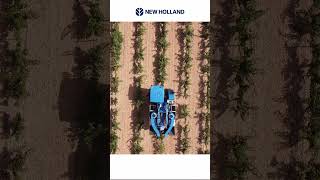 🎥 ¡Descubre la NUEVA Vendimiadora Compacta Braud 850L en La Mancha 🍇🚜 [upl. by Inwat]