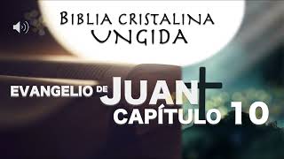 BIBLIA HABLADA Juan 10 AUDIOLIBRO el buen Pastor redil piedras contra Jesús BIBLIA CRISTALINA [upl. by Pearlstein101]