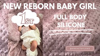 Meet My New Reborn Silicone Baby reborn reborndoll [upl. by Ezarra]