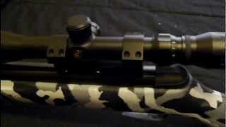 Gamo Big Cat 1250 Review [upl. by Akcemat]