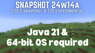 Minecraft Now Requires a 64bit Operating System  24w14a Snapshot Overview [upl. by Lytsirk29]