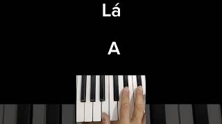 Acordes maiores e menores no teclado 🎹 aula teclado acordes tecladoiniciante notas musica [upl. by Trilly]