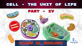 Cell  The Unit Of Life  PART  IV class 11 Biology  NCERT  COHSEM  CBSE [upl. by Aikin]