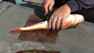 Preparing A Gurnard [upl. by Jimmie]