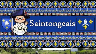 SAINTONGEAIS The Historical Langue doïl of Xaintonge  A Journey Through the Language of Saintonge [upl. by Asial]