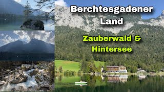 Berchtesgadener Land  Zauberwald amp Hintersee [upl. by Eelegna]