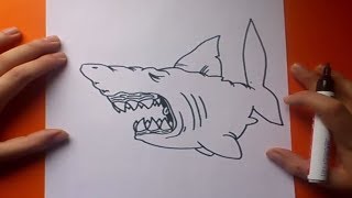 Como dibujar un tiburon paso a paso 3  How to draw a shark 3 [upl. by Ebeneser]