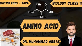 Why You Dont Need 20 Amino Acids  Amino acid [upl. by Enyehc]