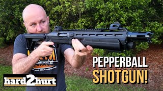 Testing This LessLethal Home Defense Shotgun  Umarex T4E HDX Review [upl. by Terence]