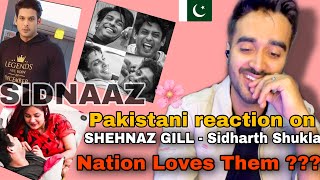 Pakistani reacts on Sidnaaz memories  sidharth shukla  shehnaz gill journey  HBD Sidharth❤️ [upl. by Neliac]