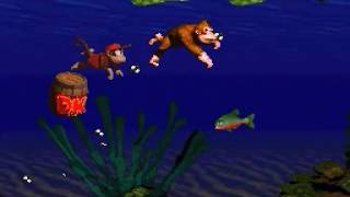 Donkey Kong Country SNES World 14Kongo JungleCoral Capers [upl. by Evin267]