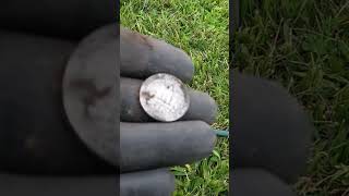 First Ever Silver Coin with The Teknetics T2 metaldetecting [upl. by Gasser]