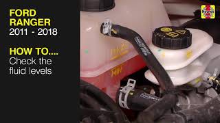 How to Check the fluid levels on the Ford Ranger 2011 to 2018 [upl. by Uhp]