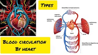 Blood circulation in hindiPulmonarysystemicCoronaryCardiovascular system for Nursing students [upl. by Herring931]