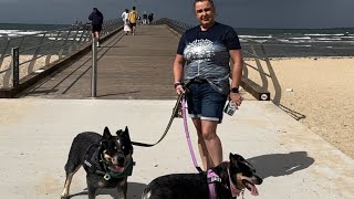 Altona beach newly constructed pier walk [upl. by Blus]