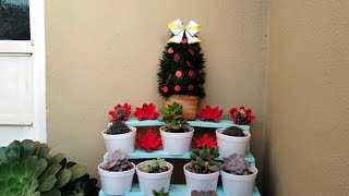 Cómo Hacer PINO de NAVIDAD 🎄 para adornar mis plantas Manualidad fácil de hacer reciclando botellas [upl. by Weingarten]