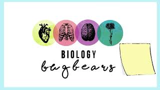 Biology BugbearsRevisionGetting started [upl. by Tadio436]