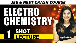 Electro Chemistry  One Shot Lecture  CHAMPIONS  JEENEET CRASH COURSE 2022 [upl. by Bensky]