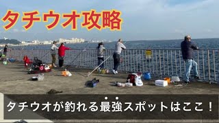 うみかぜ公園、海辺釣り公園でタチウオが釣れる最強スポットはここ！ [upl. by Ybab]