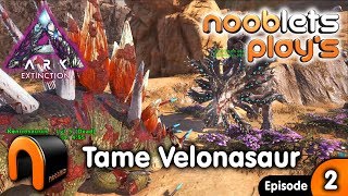 ARK EXTINCTION Taming A Velonasaur Nooblets Plays EP3 [upl. by Jarrad763]